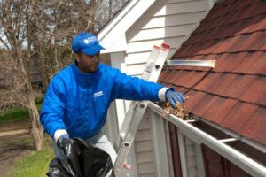 Gutter Cleaning & Maintenance Services Chicago