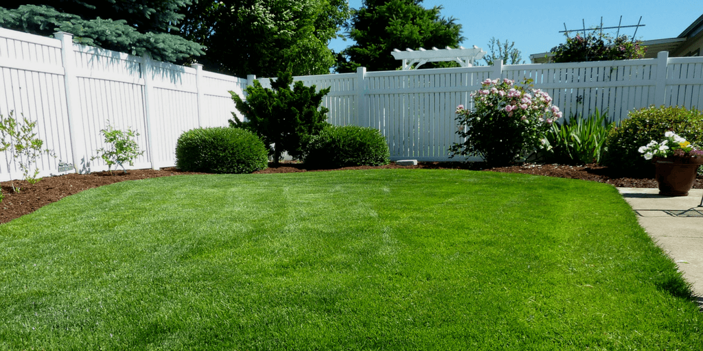 a lawn surrounded by a fence 