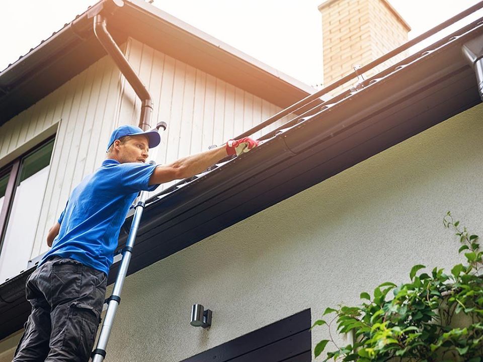 Roof Cleaning Service Near Me [target:city] thumbnail