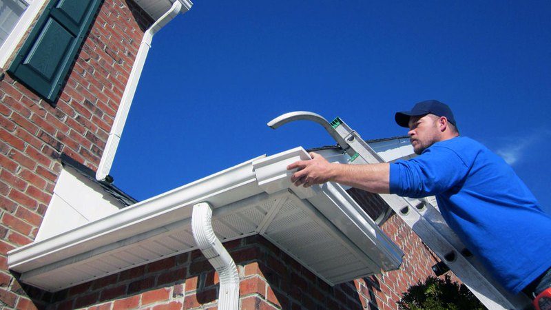 gutter cleaning services
