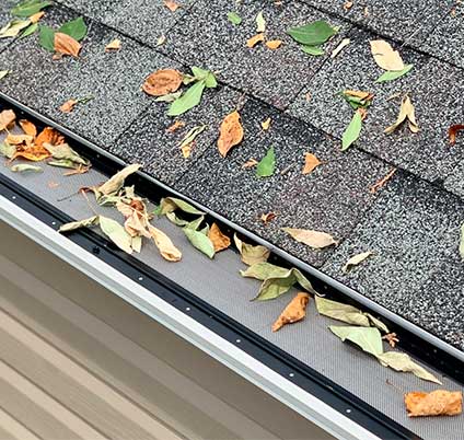 Micro-mesh gutter guard system collecting fall debris on surface while protecting gutter interior