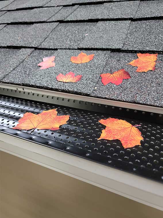 Strong, effective and affordable gutter guard system with fall leaves demonstrating protection capabilities